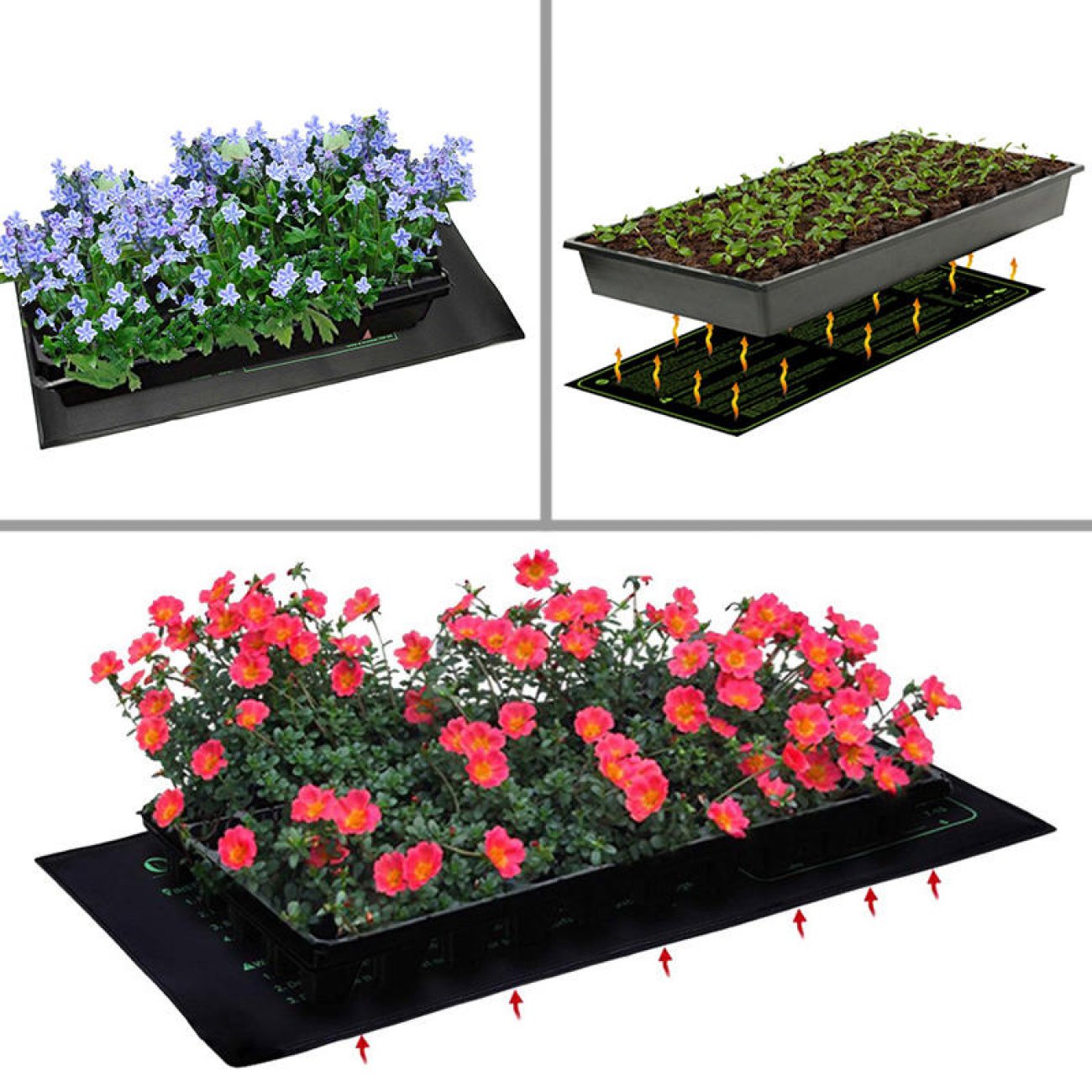 Obrázok Výhrevná podložka pre rastliny a teráriá 122x51cm