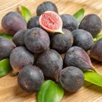 Figovník obyčajný (Ficus carica) ‘NOIRE DE CAROMB’ – výška 40–60 cm, kont. C2L