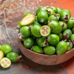 Guava ananásová (Acca Sellowiana Feijoa) - výška 70-90 cm, kont. C7/9L - NA KMIENKU (-16°C)