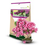 Rhodovit - Mykorhízne huby pre bonsaje 100g