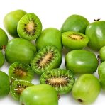 Aktinídia žilnatá - kiwi (Actinidia arguta) ´ISSAI´ - výška 50-80 cm, kont. C3L - SAMOOPELIVÁ